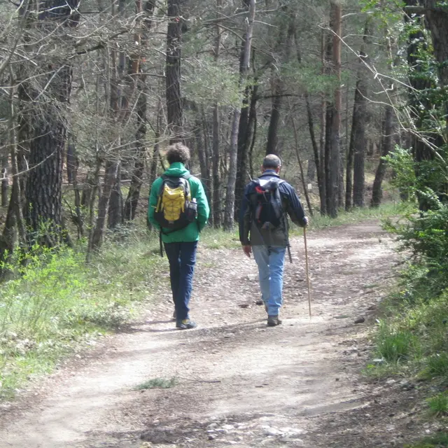 Huguenots et vitrouillères