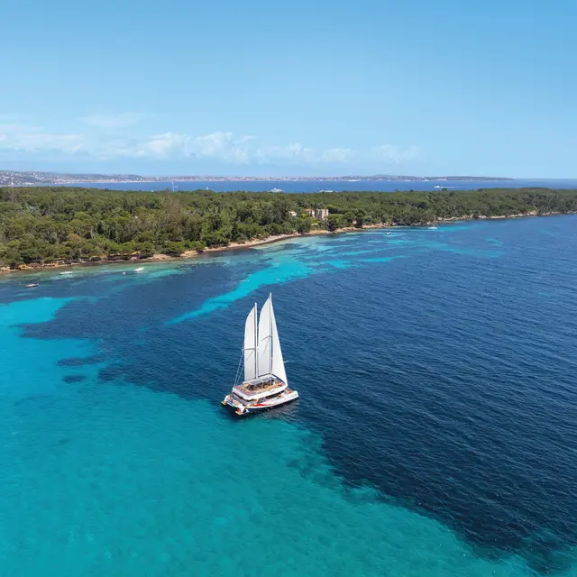 Maxi-catamaran Mayba