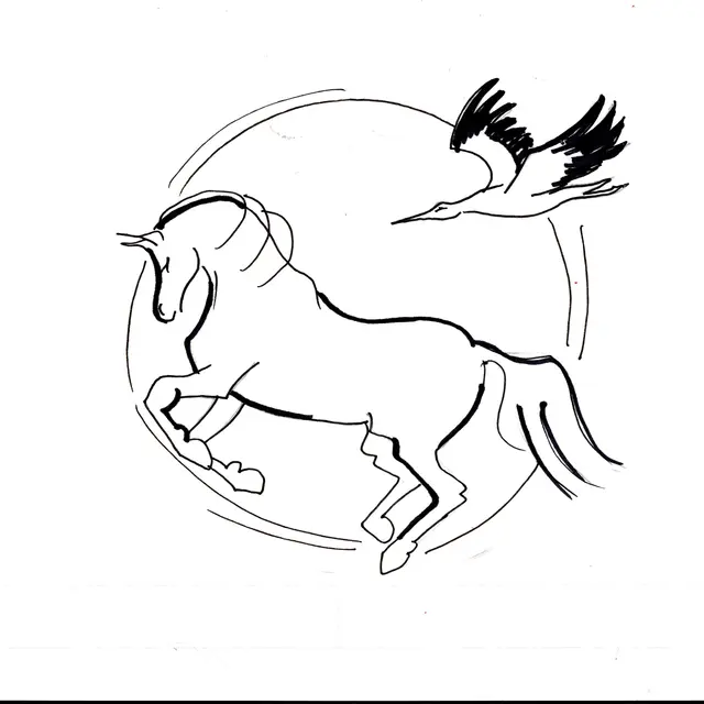 Activités équitation aux Haras d'Anibert_Arles