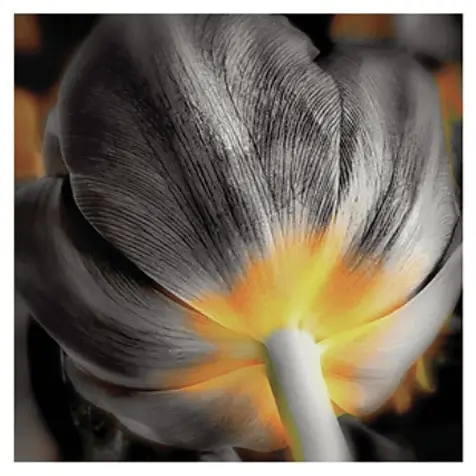 Exposition Association Esc'ale_Saint-Martin-de-Crau