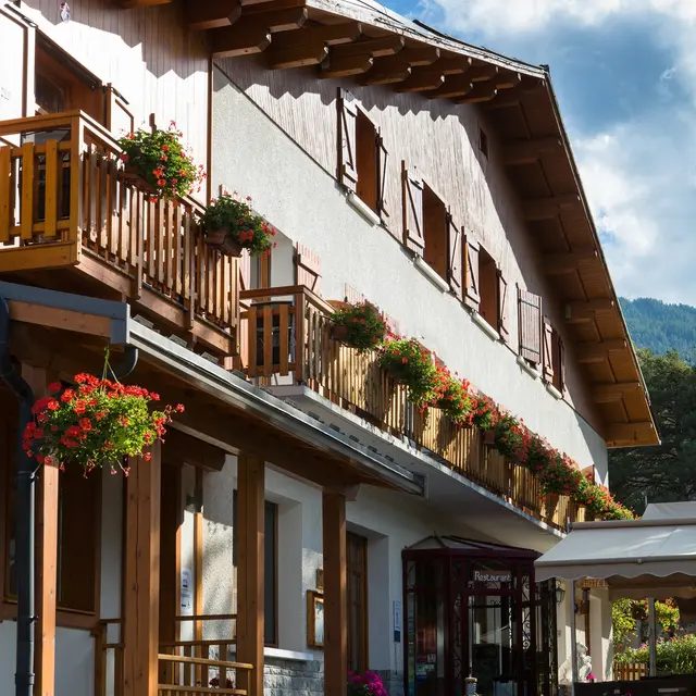 Les peupliers Serre-Ponçon