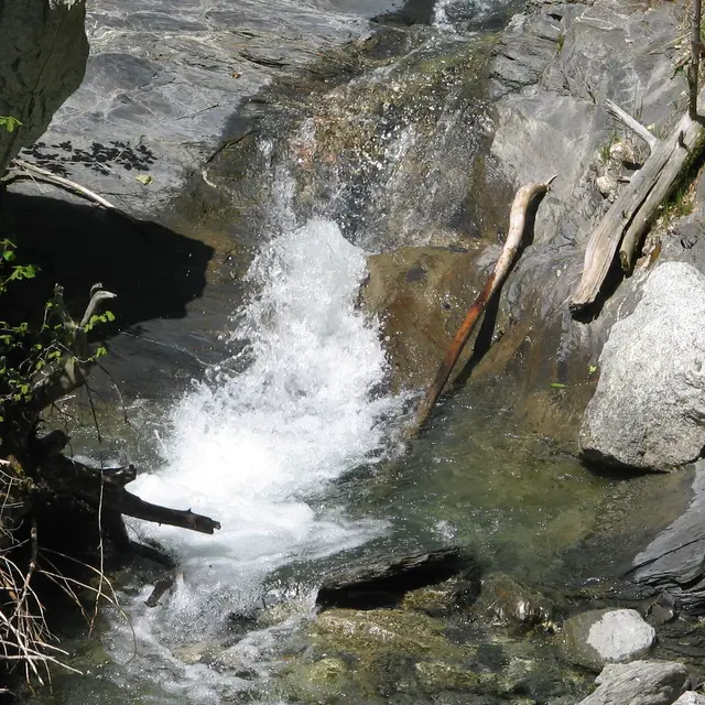 Cascade en chemin, vallée de Coeur