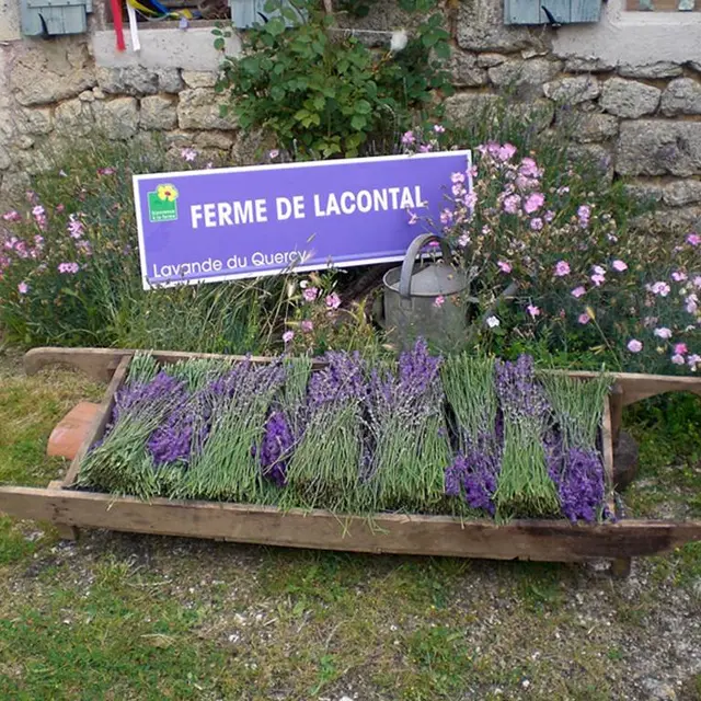 Ferme de Lacontal