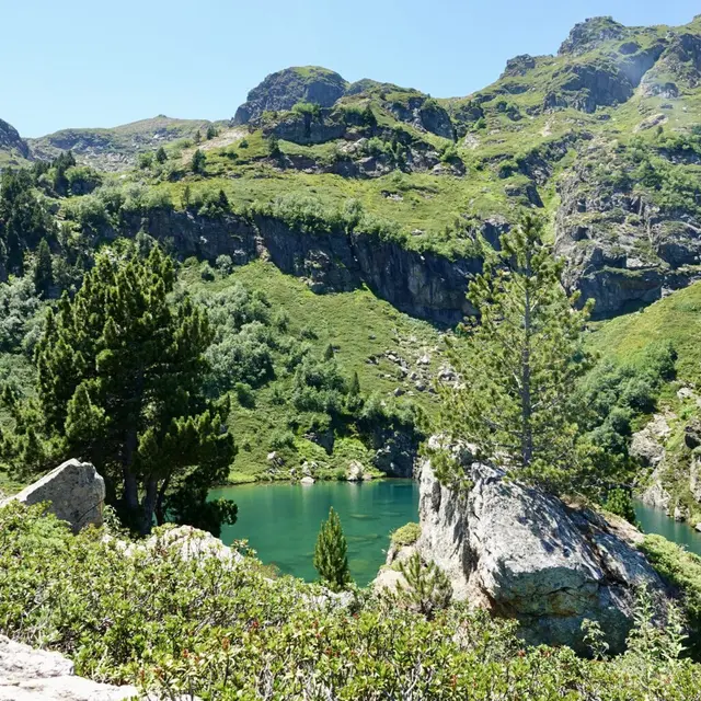 Les mercredis de la Réserve : Les lacs de montagne, immobilité seulement apparente_Montferrier