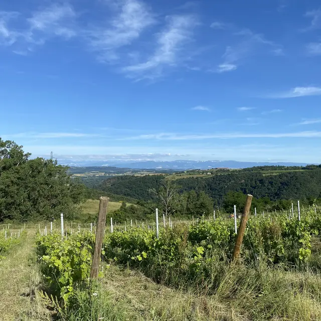 Rando Wine au domaine Peychon_Saint-Vallier