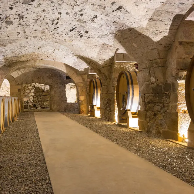 Dégustation insolite au coeur du chai à barriques au Château monastique des Bormettes_La Londe-les-Maures