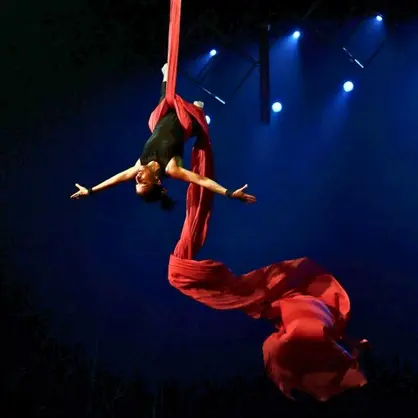 Stage de tissu aérien et corde lisse (adultes) - CIAM_Aix-en-Provence