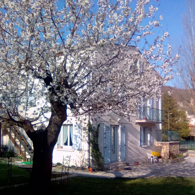 Des étoiles au Verdon