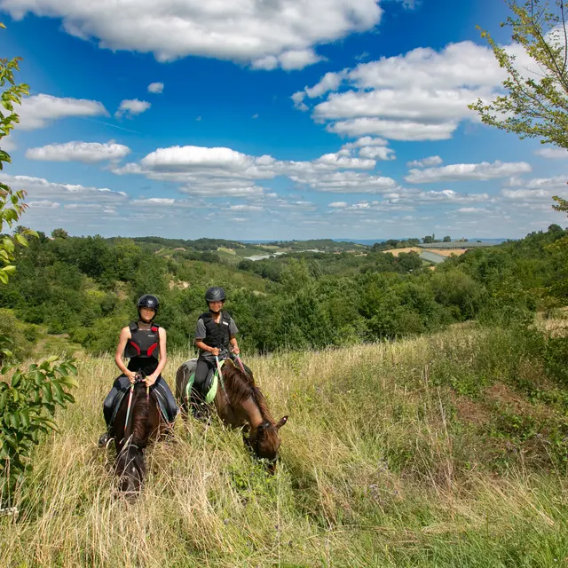 Les sabots de L'Honor