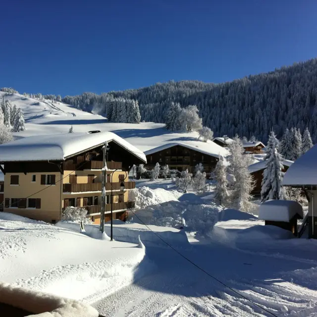 CHALET LE MELEZE Le Cernix