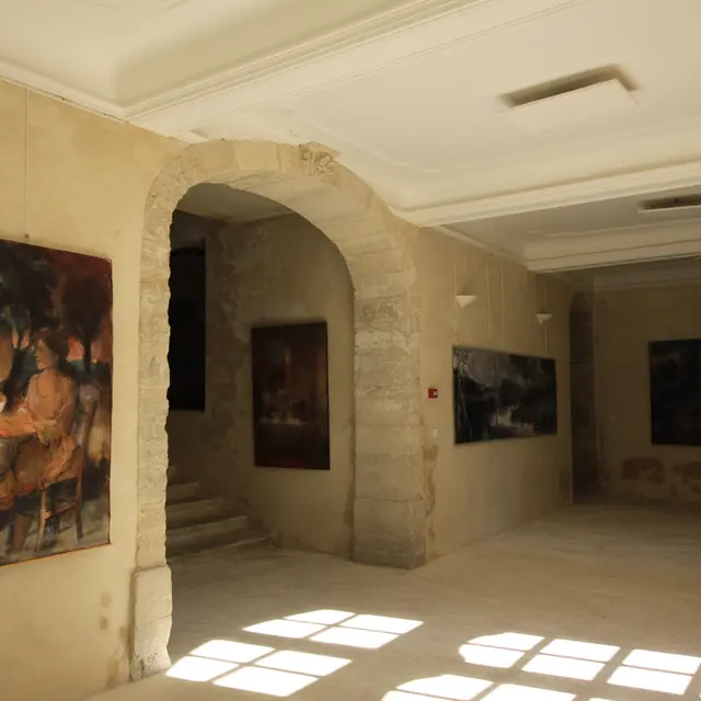 Hôtel Pellissier - Visan