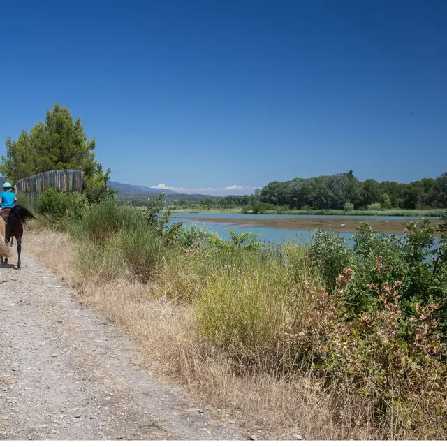 Randonnée à Cheval