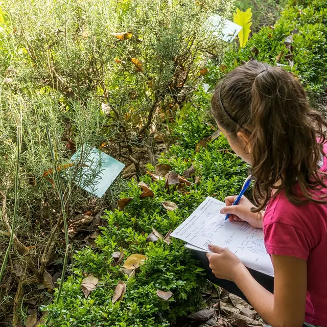 La visite ludique des 7-12 ans : La plante mystère_Chambéry