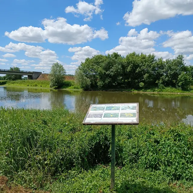 Marais pédagogique de Briollay - Table d'observation Briollay