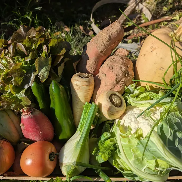 Jardin L'Orée d'Argens_Correns