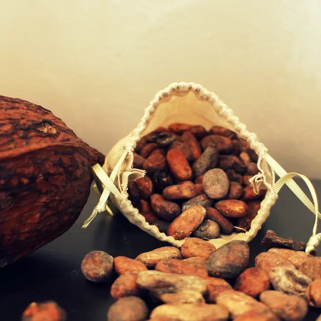 fève de cacao