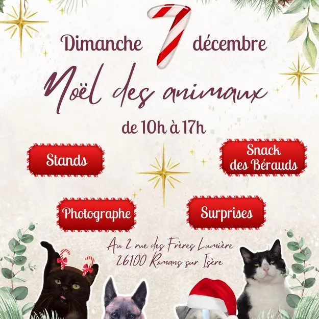 Noël des animaux au refuge_Romans-sur-Isère