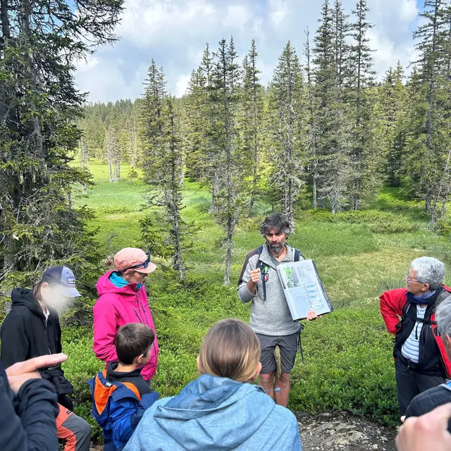 Visite guidée du sentier des Arpelières - animaux des tourbières_Les Saisies