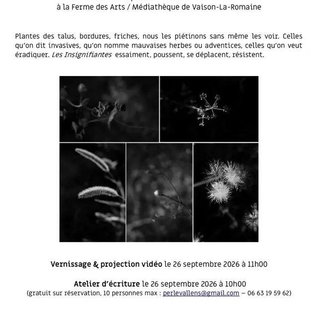 Exposition photographique - Insignifiantes_Vaison-la-Romaine