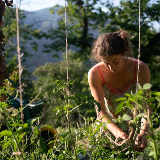 Atelier cuisine aux herbes sauvages