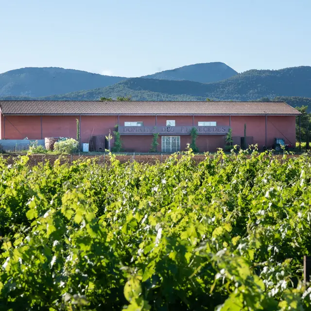 Domaine des Peirecèdes