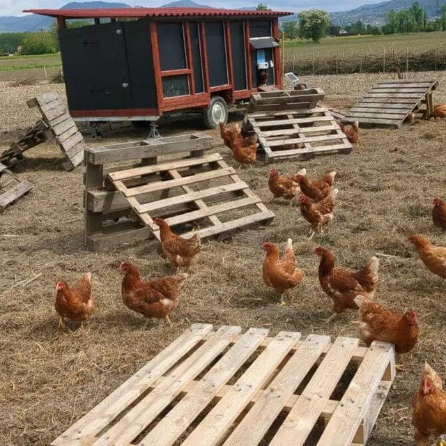 Ferme ouverte à la Ferme de la forêt fruitière