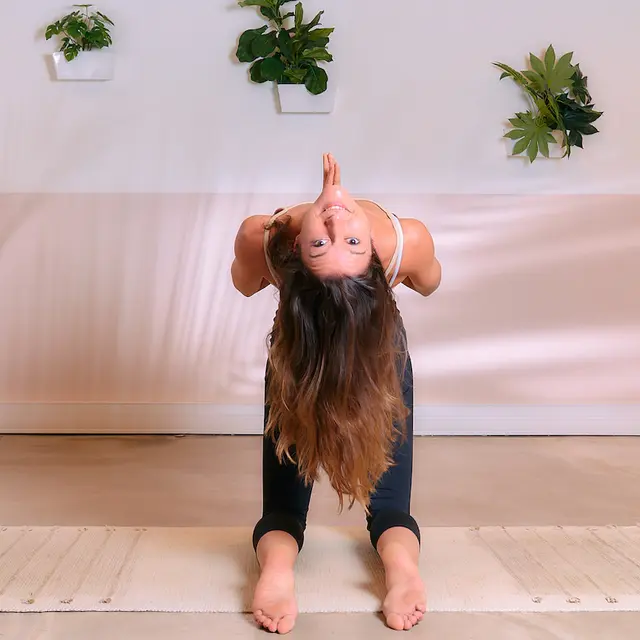 Cours de yoga