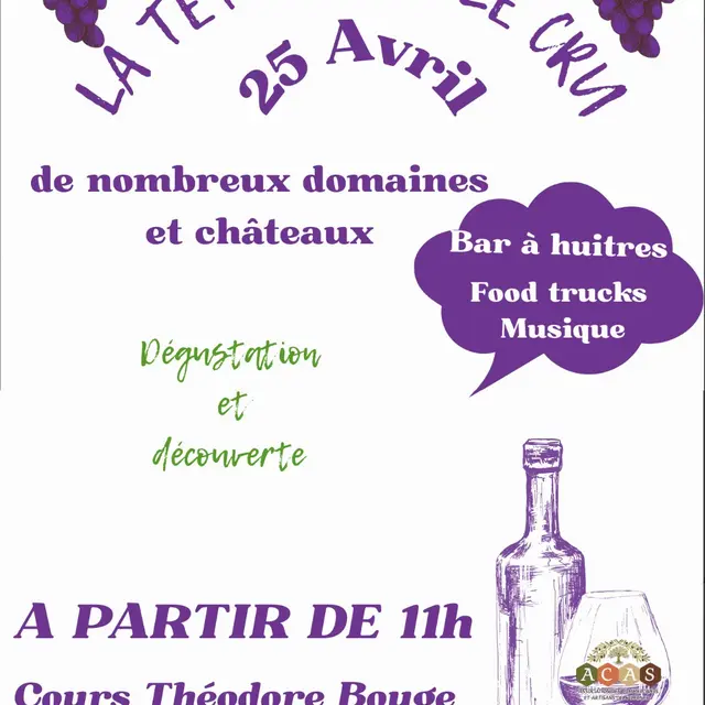 La tête dans le cru_Salernes