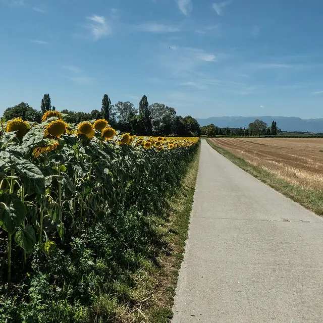 Route des chateaux et maisons fortes