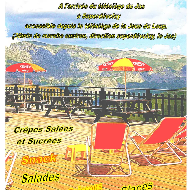 Affiche le Vieux Pisteur