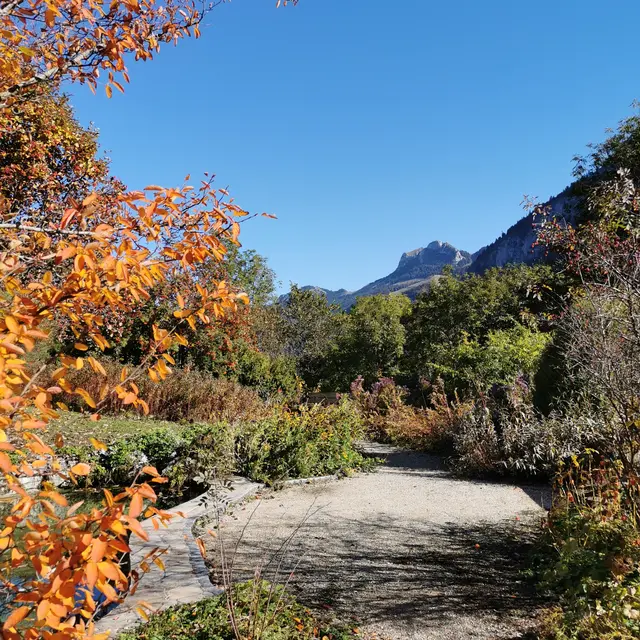 Jardin Alpin