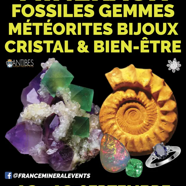 14ème Salon des Minéraux & Fossiles d'Antibes_Antibes