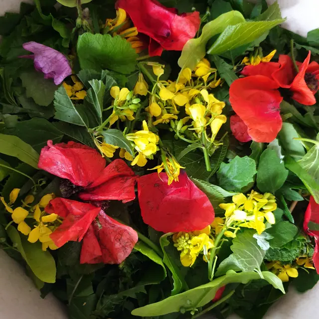 Salade aux plantes sauvages