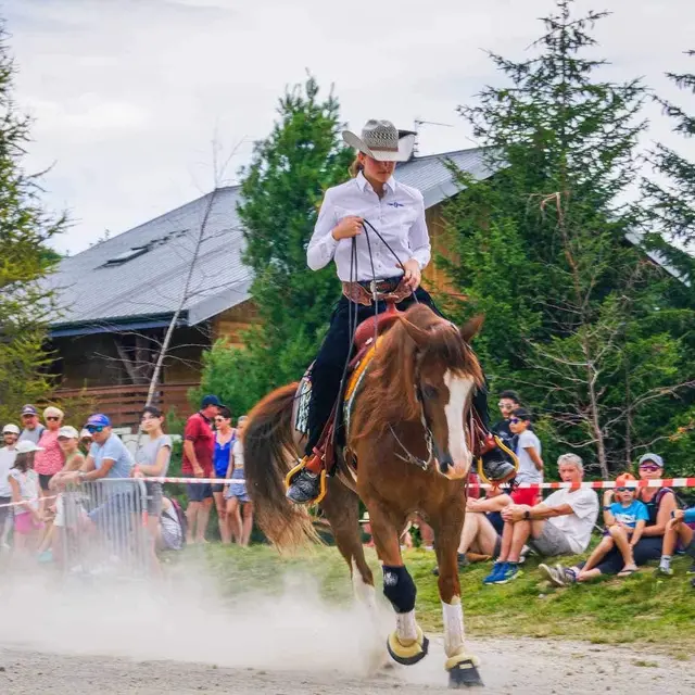 Equitation western