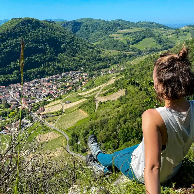 Point de vue sur le village de Cerdon et ses vignes