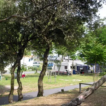 Le Remondeau municipal campsite (La Couarde-sur-Mer) | Destination le de  R  Official Tourist Office Website