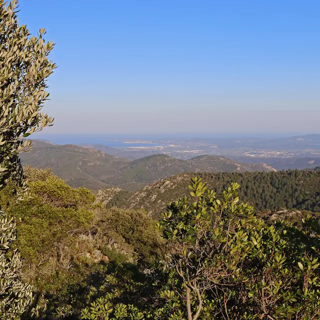 Randonnée de la Garde-Freinet à Grimaud