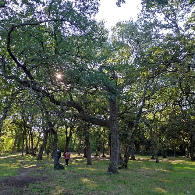 Éco-balade : Haies et bois à Entressen_Istres