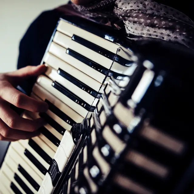 Festival de l'accordéon