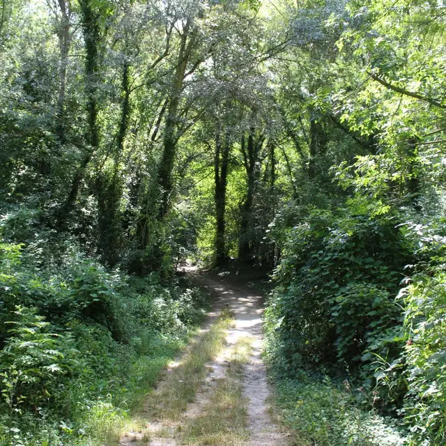 Balade en bord de Sorgue