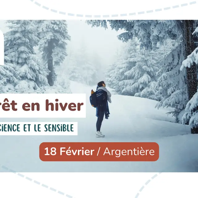 Sortie nature - La forêt en hiver_Argentière