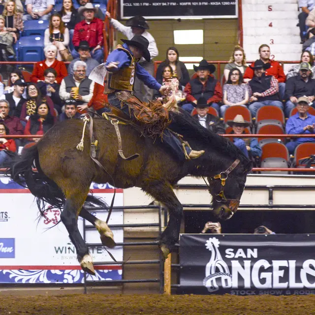 Spectacle Rodéo US_Saintes-Maries-de-la-Mer