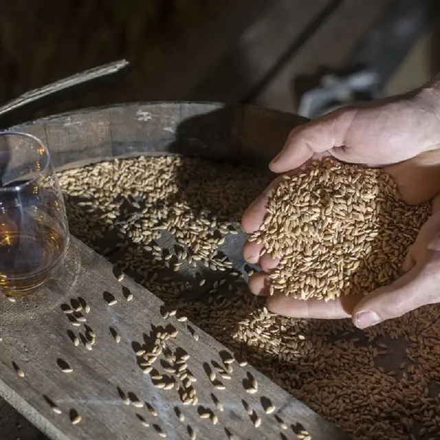 Distillerie de whisky