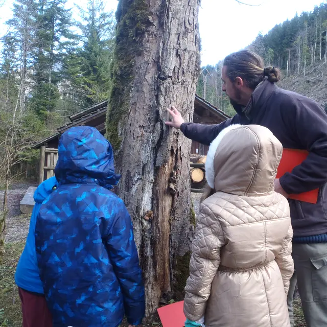 Atelier Nature