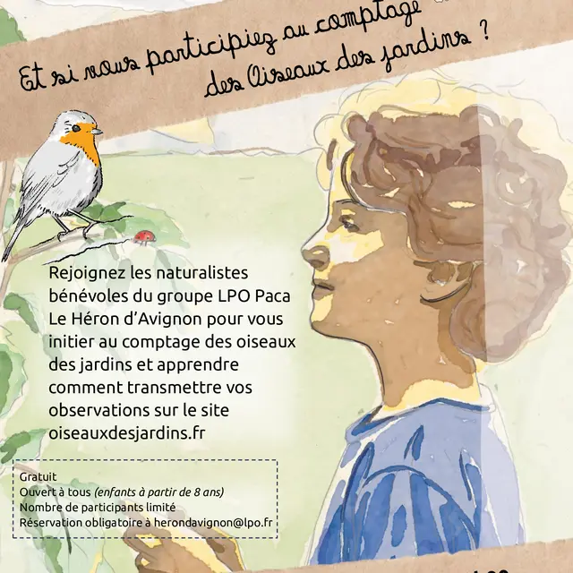 Et si vous participiez au comptage des oiseaux des jardins ?_Sorgues