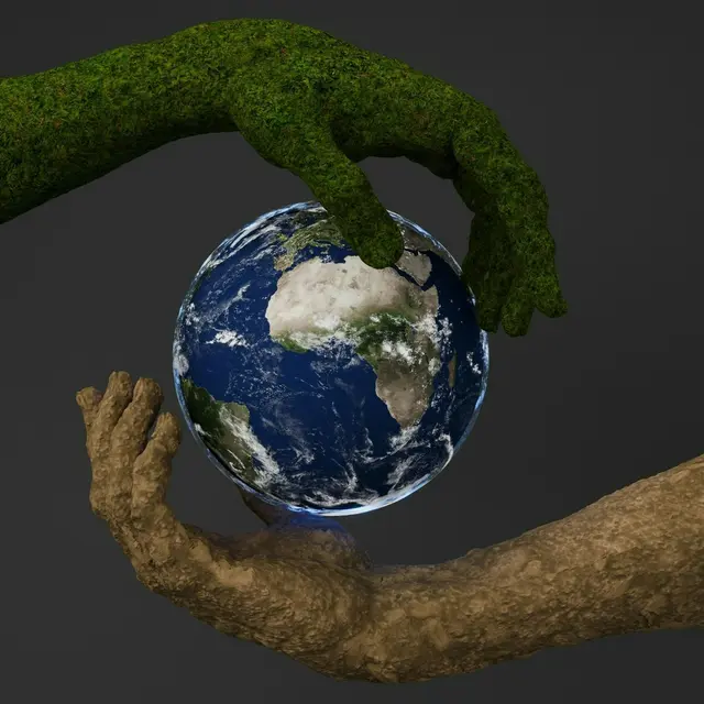 La transition écologique, qu'est-ce que c'est ?