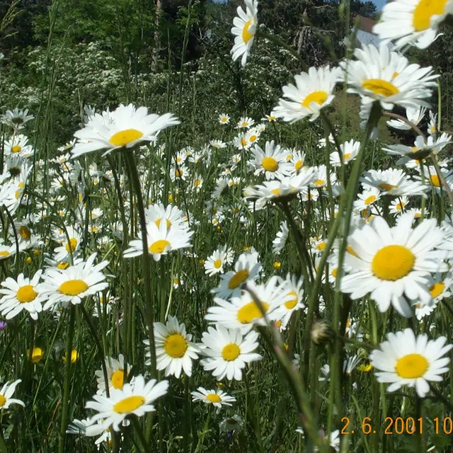 Fiche thématique Faune/Flore