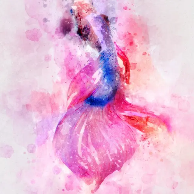Atelier aquarelle