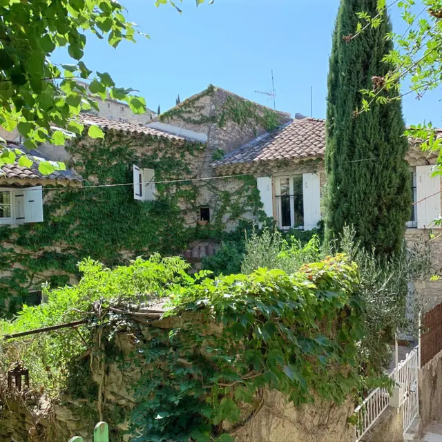 La_Maison_perchee-Exterieur.jpg