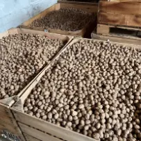 De Ferme en Ferme - La Ferme des Fourniers_Luc-en-Diois